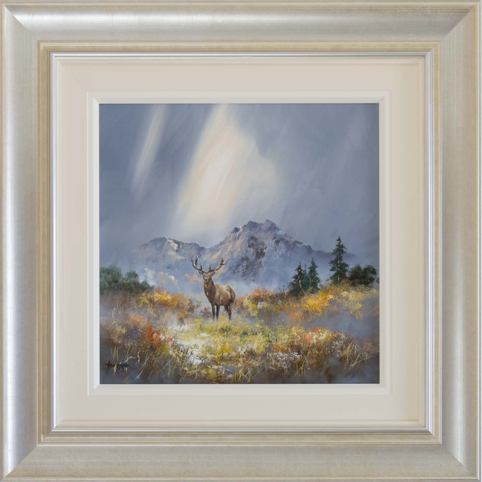 Highland Stag