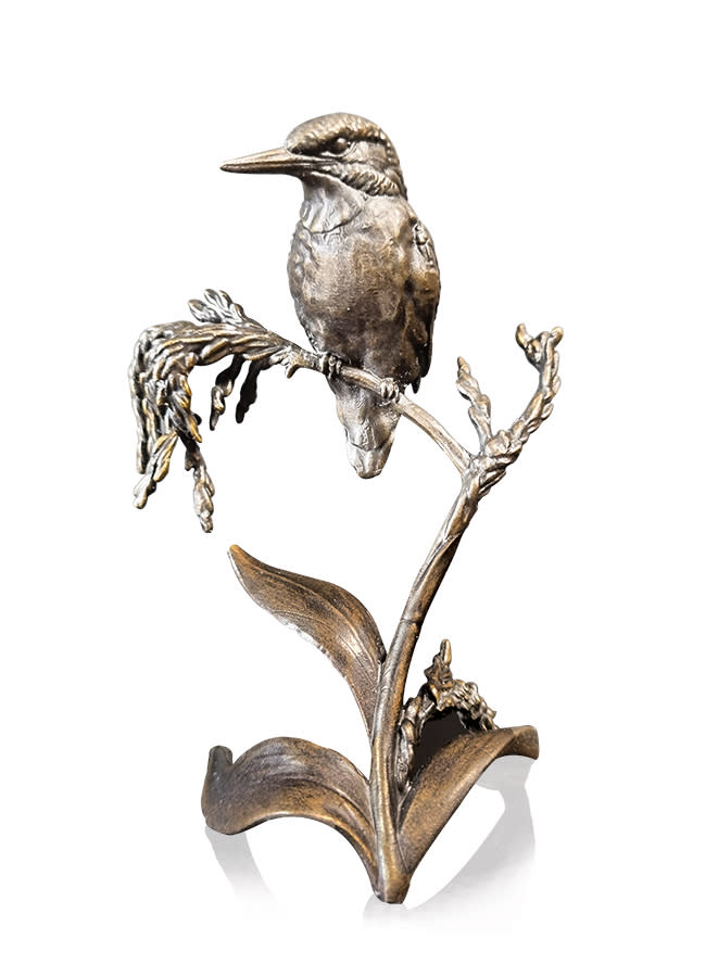 Waterside, Kingfisher (1155)