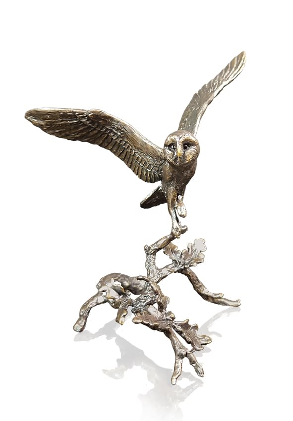 Barn Owl with Acorns