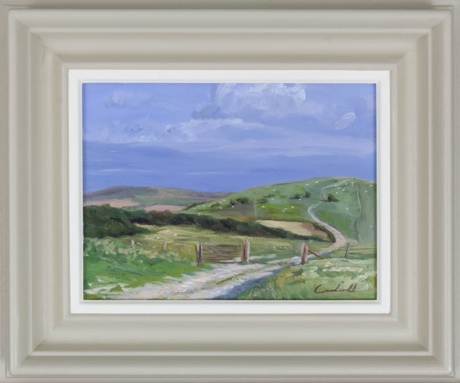 South Downs Way