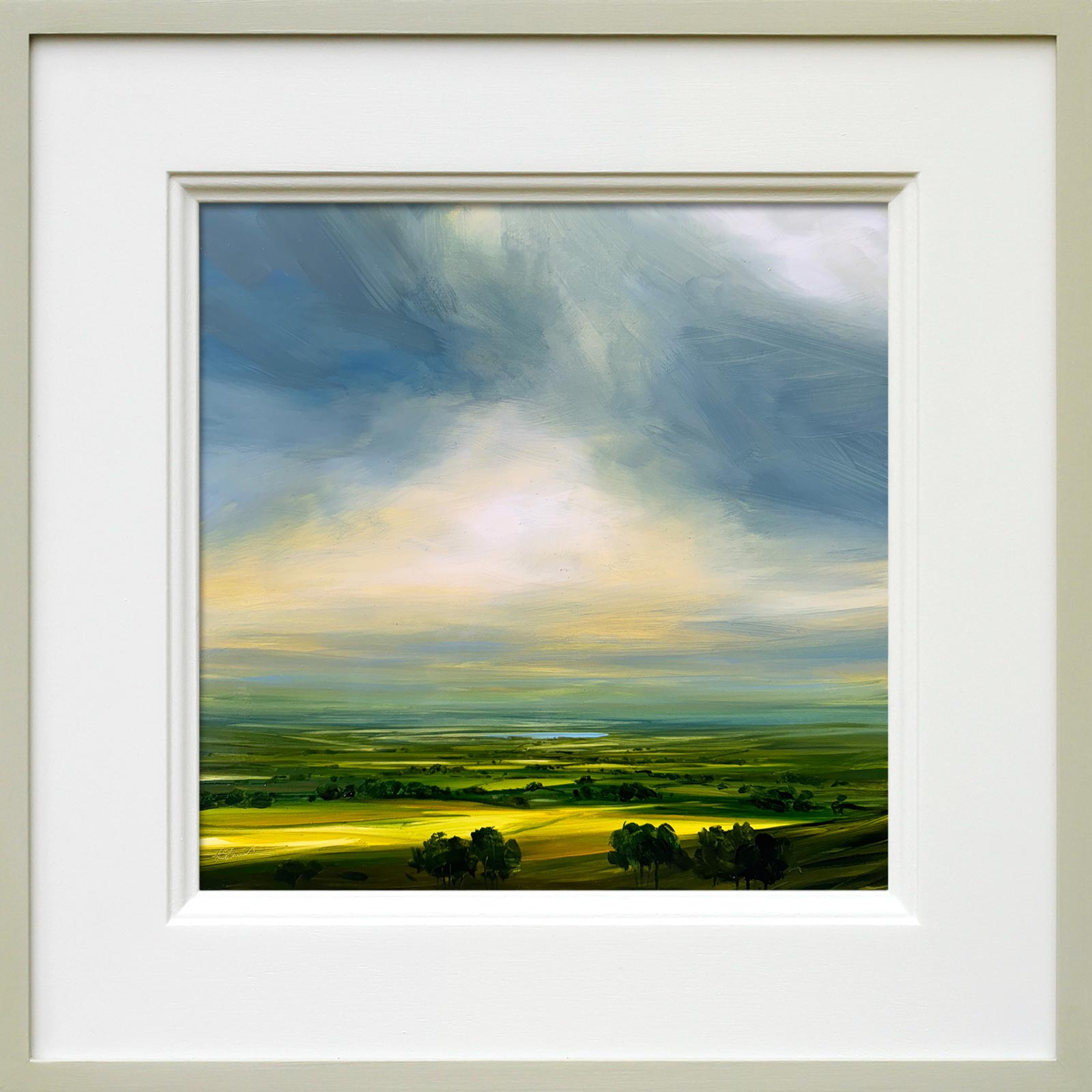 Radiant Fields