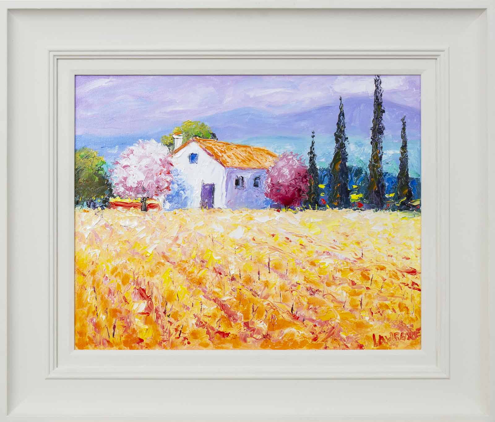 Vineyards, Provence