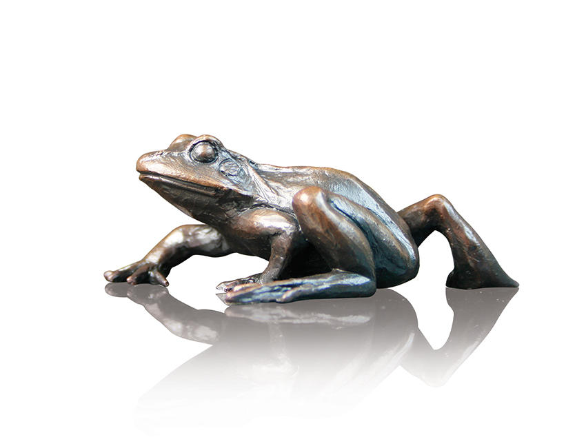 Small Frog Walking (931)