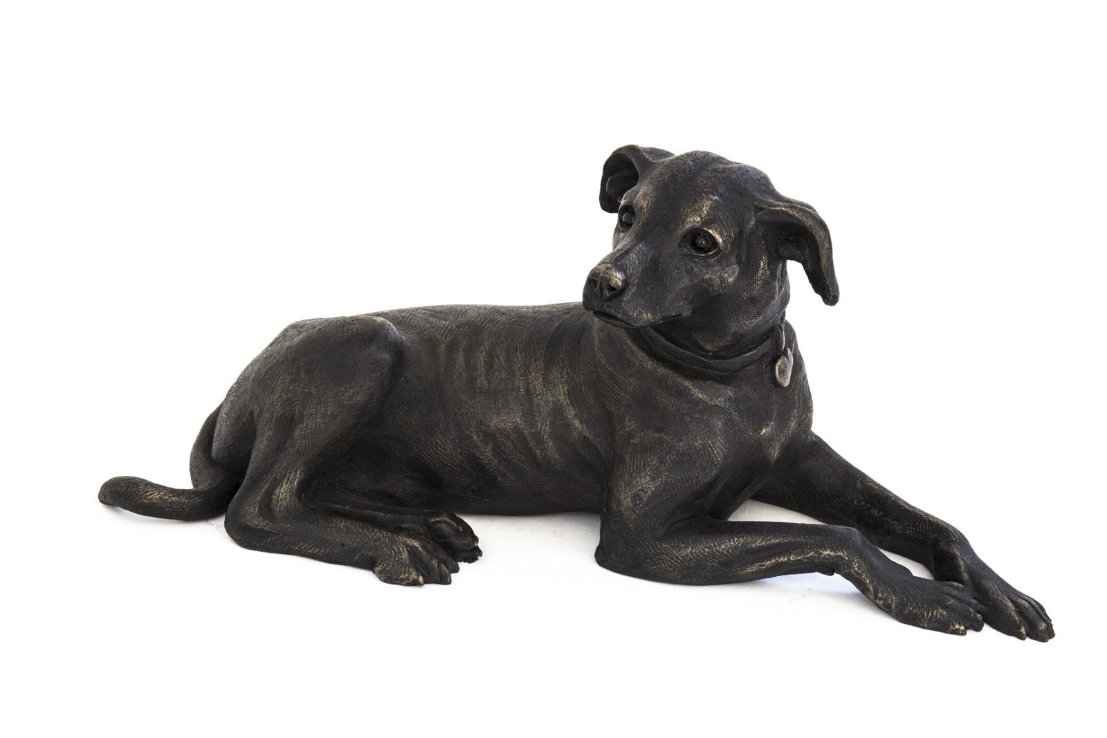 Bess, Jack Russell Dog Lying