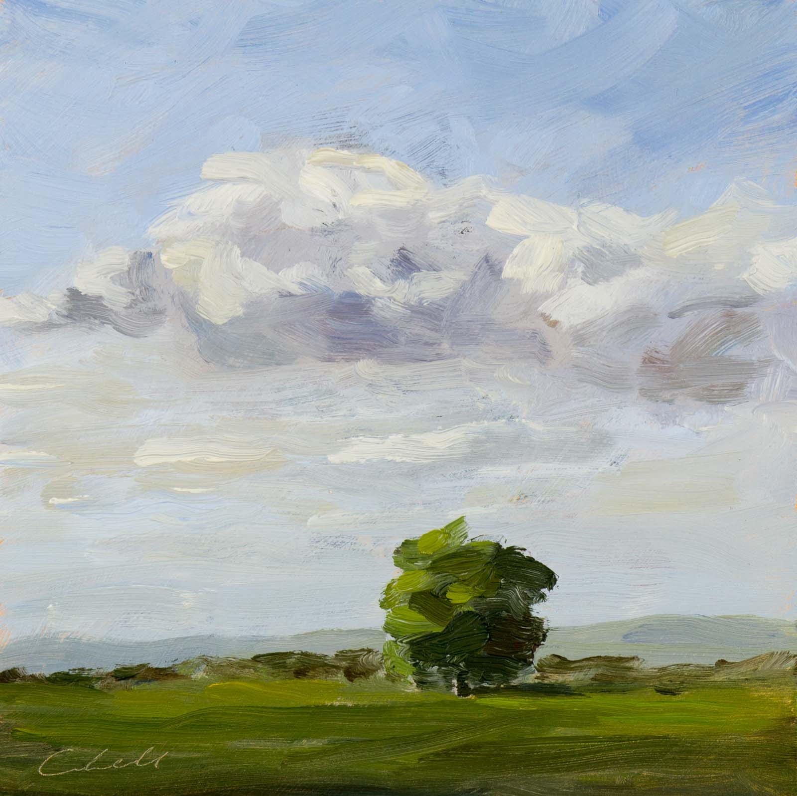 Sussex Oak