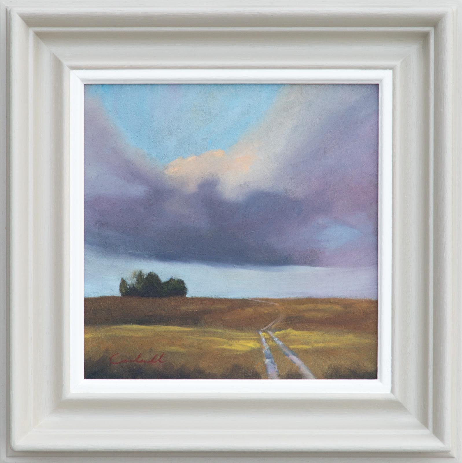 Copse on the Hill