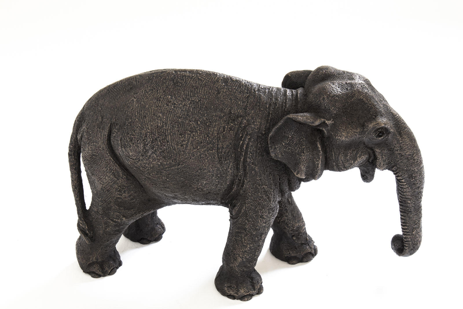 Asian Elephant Mother