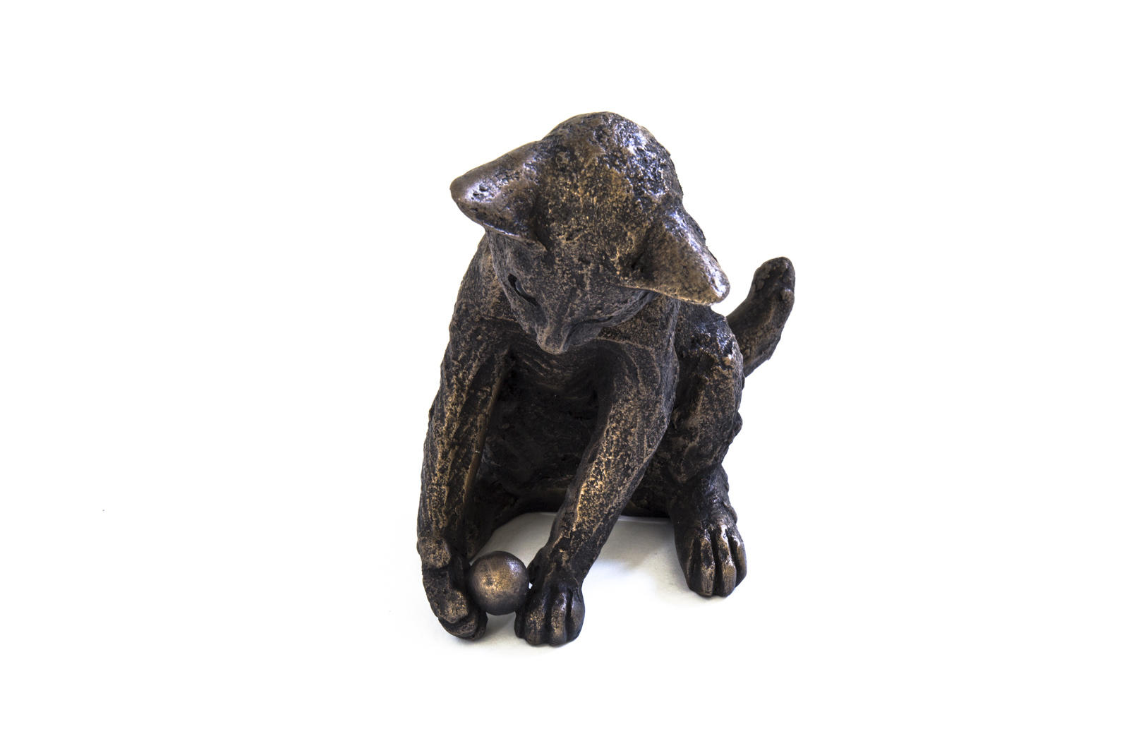 William Playing Kitten