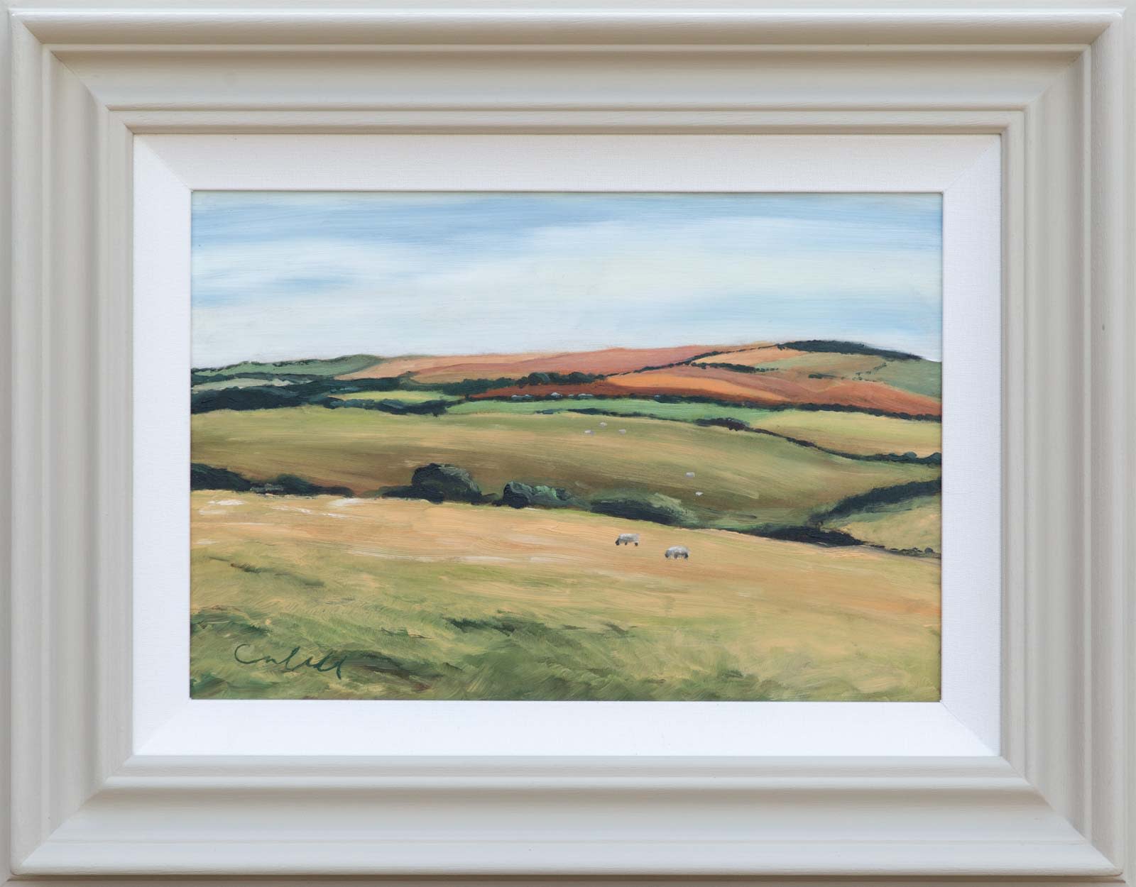 South Downs Dawn